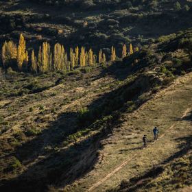 Sendero en otoño
